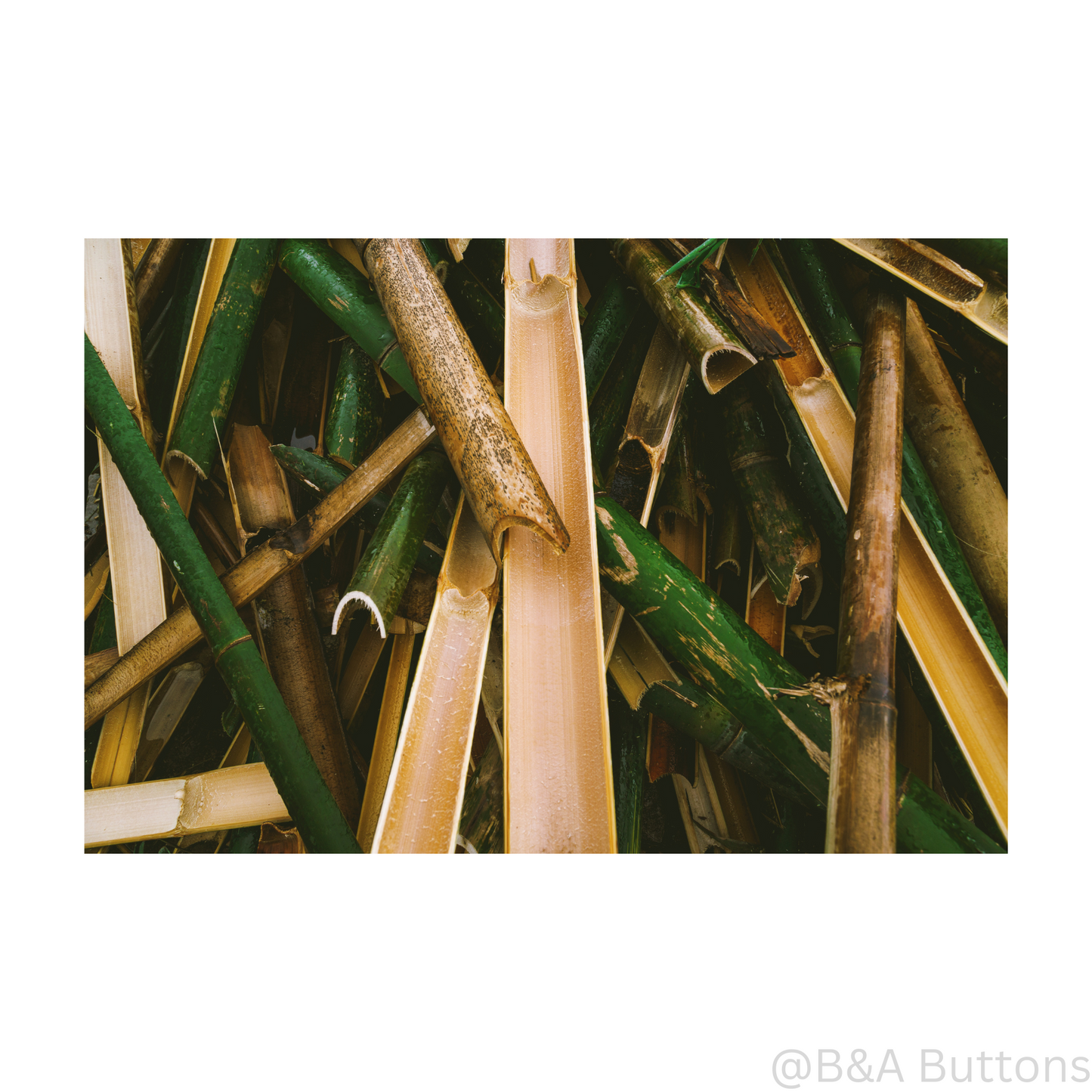 Classic Eco-Bamboo Buttons